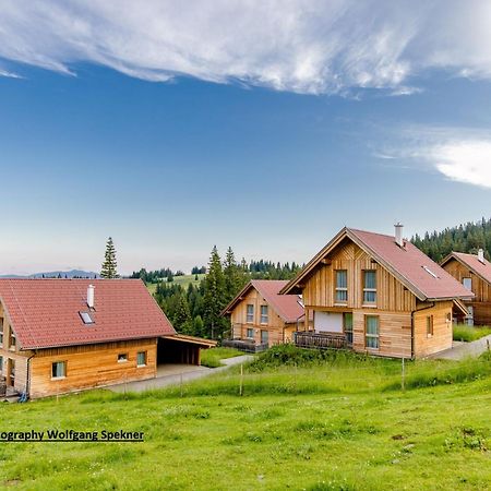 Beautiful Holiday Home In Weinebene With Sauna Posch Alpe Zewnętrze zdjęcie