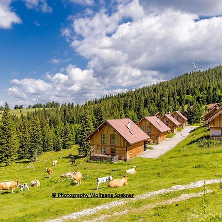 Beautiful Holiday Home In Weinebene With Sauna Posch Alpe Zewnętrze zdjęcie