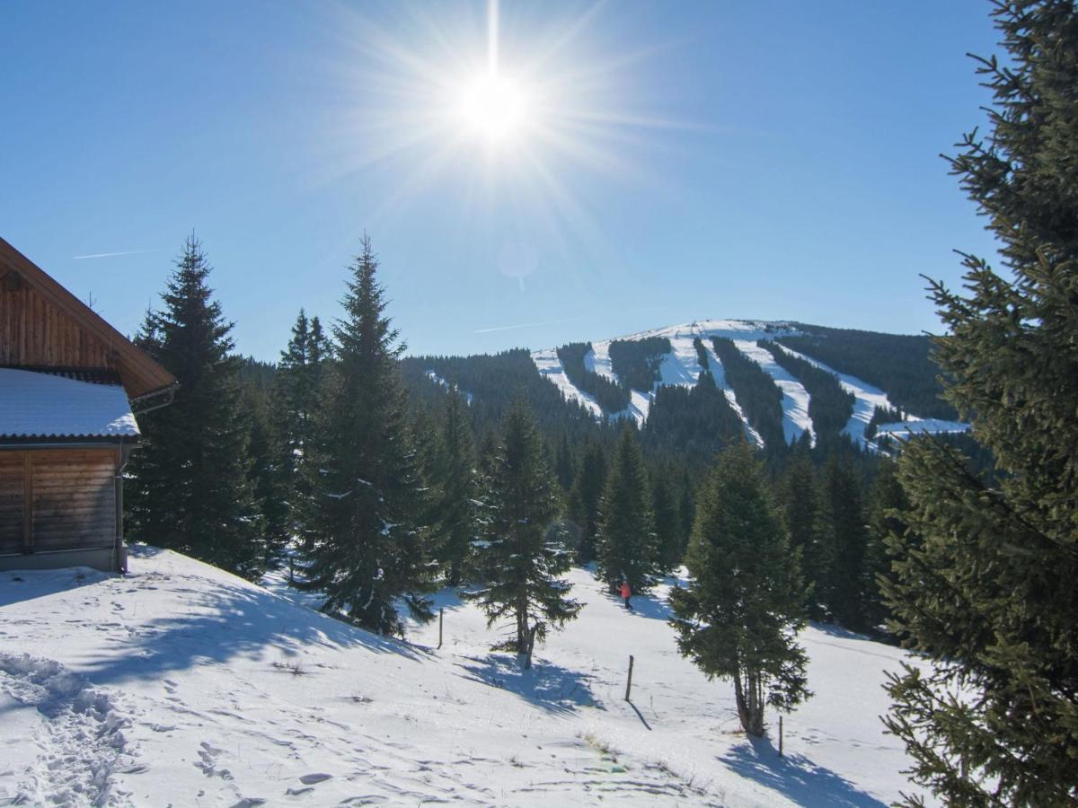 Beautiful Holiday Home In Weinebene With Sauna Posch Alpe Zewnętrze zdjęcie