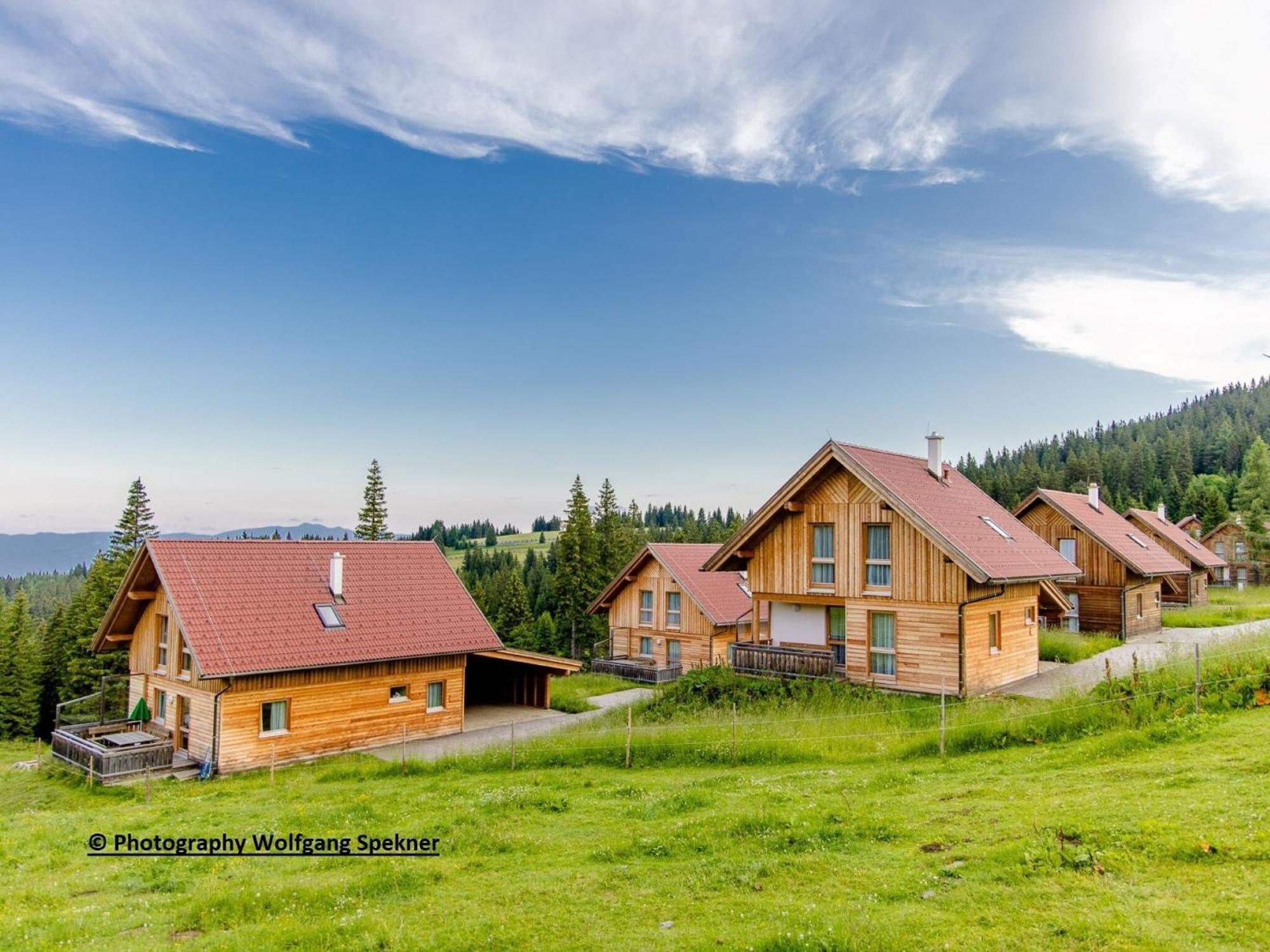 Beautiful Holiday Home In Weinebene With Sauna Posch Alpe Zewnętrze zdjęcie