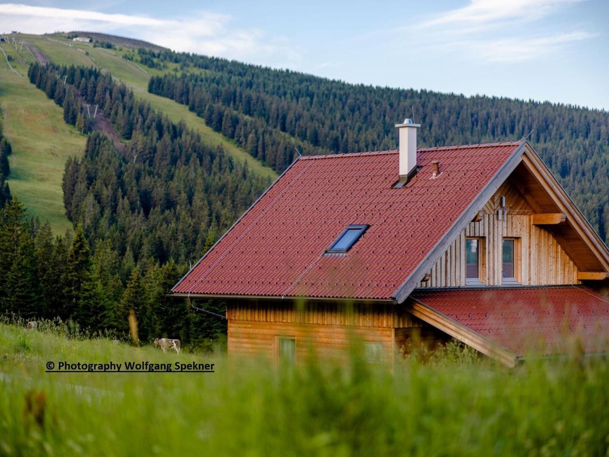 Beautiful Holiday Home In Weinebene With Sauna Posch Alpe Zewnętrze zdjęcie