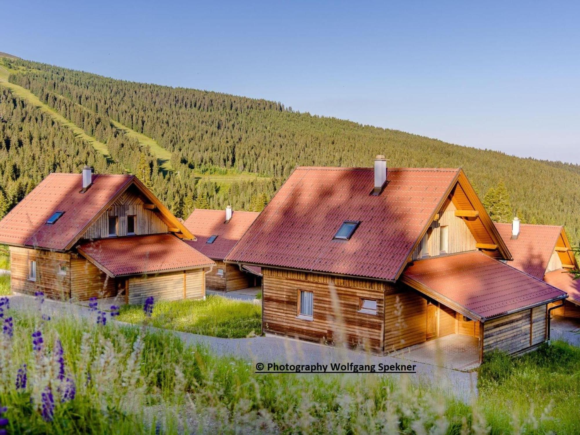 Beautiful Holiday Home In Weinebene With Sauna Posch Alpe Zewnętrze zdjęcie