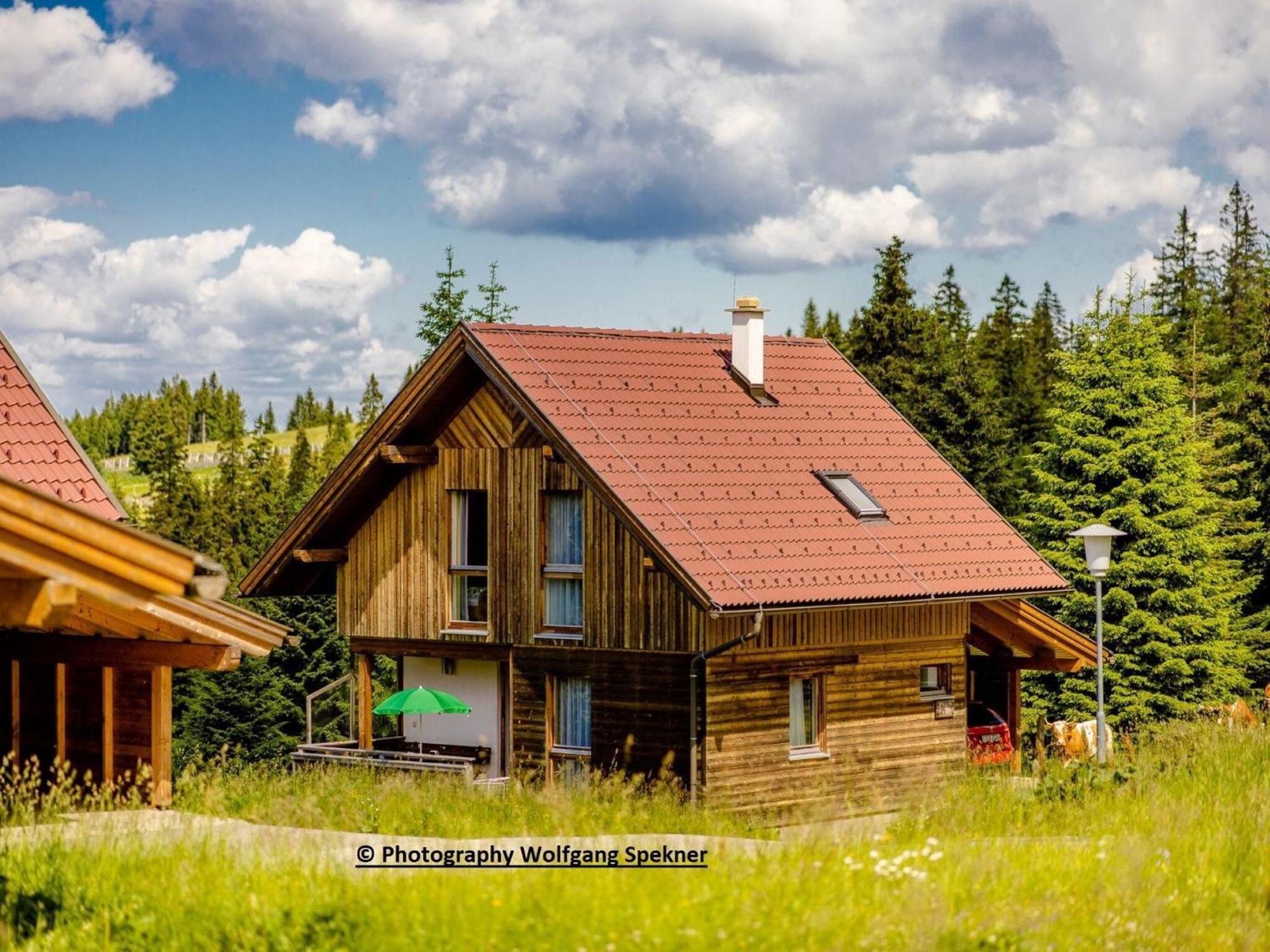 Beautiful Holiday Home In Weinebene With Sauna Posch Alpe Zewnętrze zdjęcie