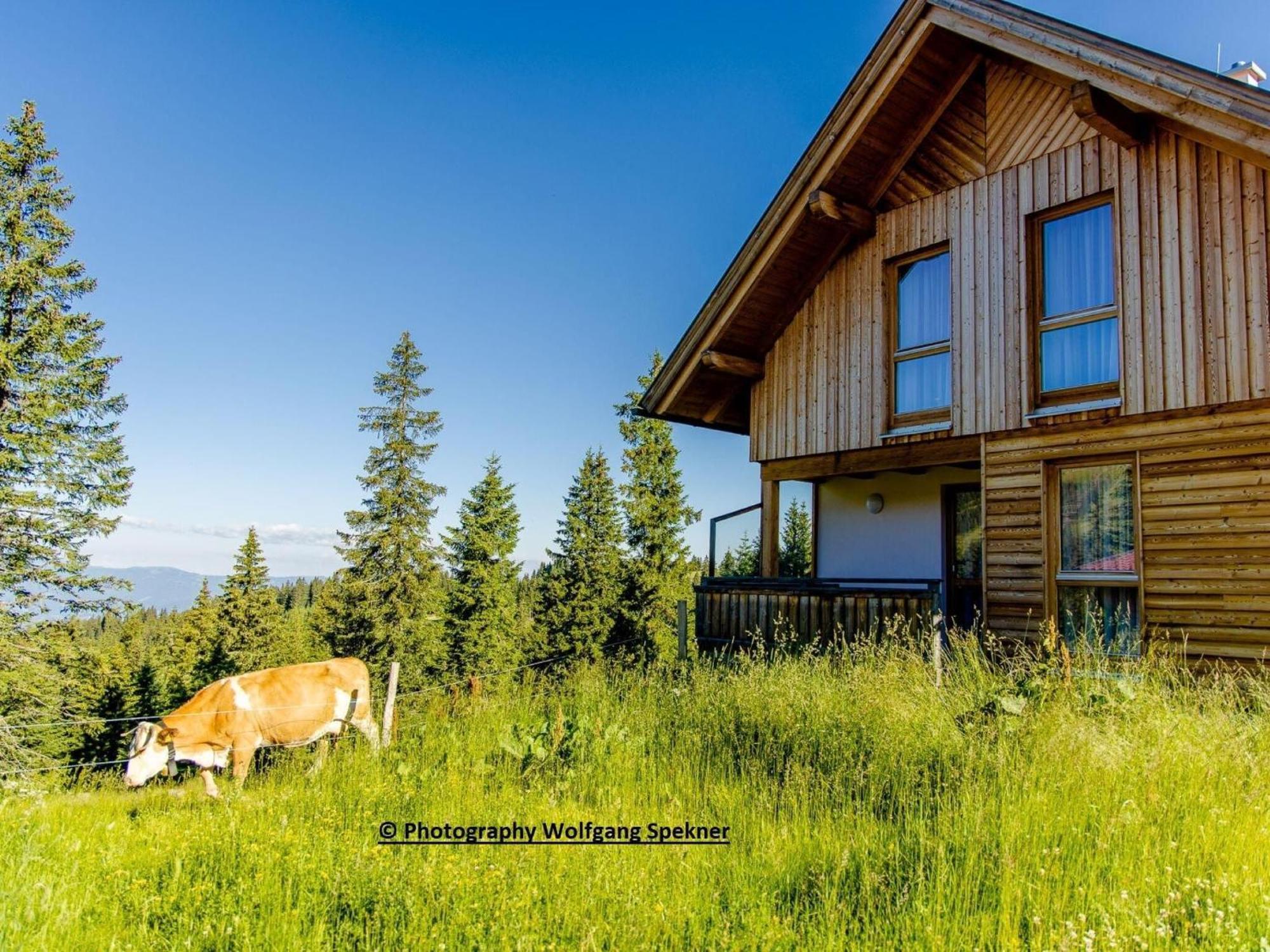 Beautiful Holiday Home In Weinebene With Sauna Posch Alpe Zewnętrze zdjęcie