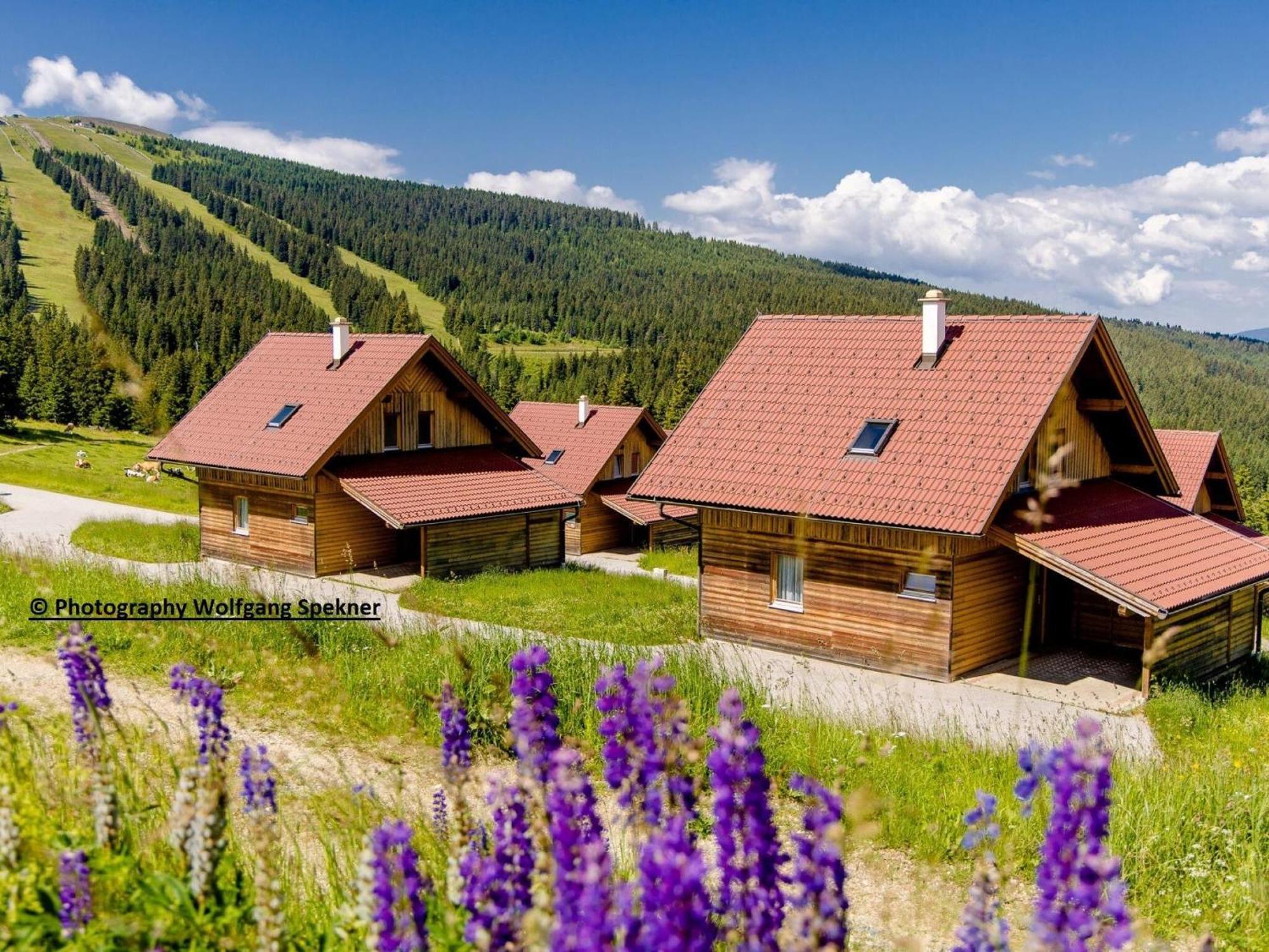 Beautiful Holiday Home In Weinebene With Sauna Posch Alpe Zewnętrze zdjęcie