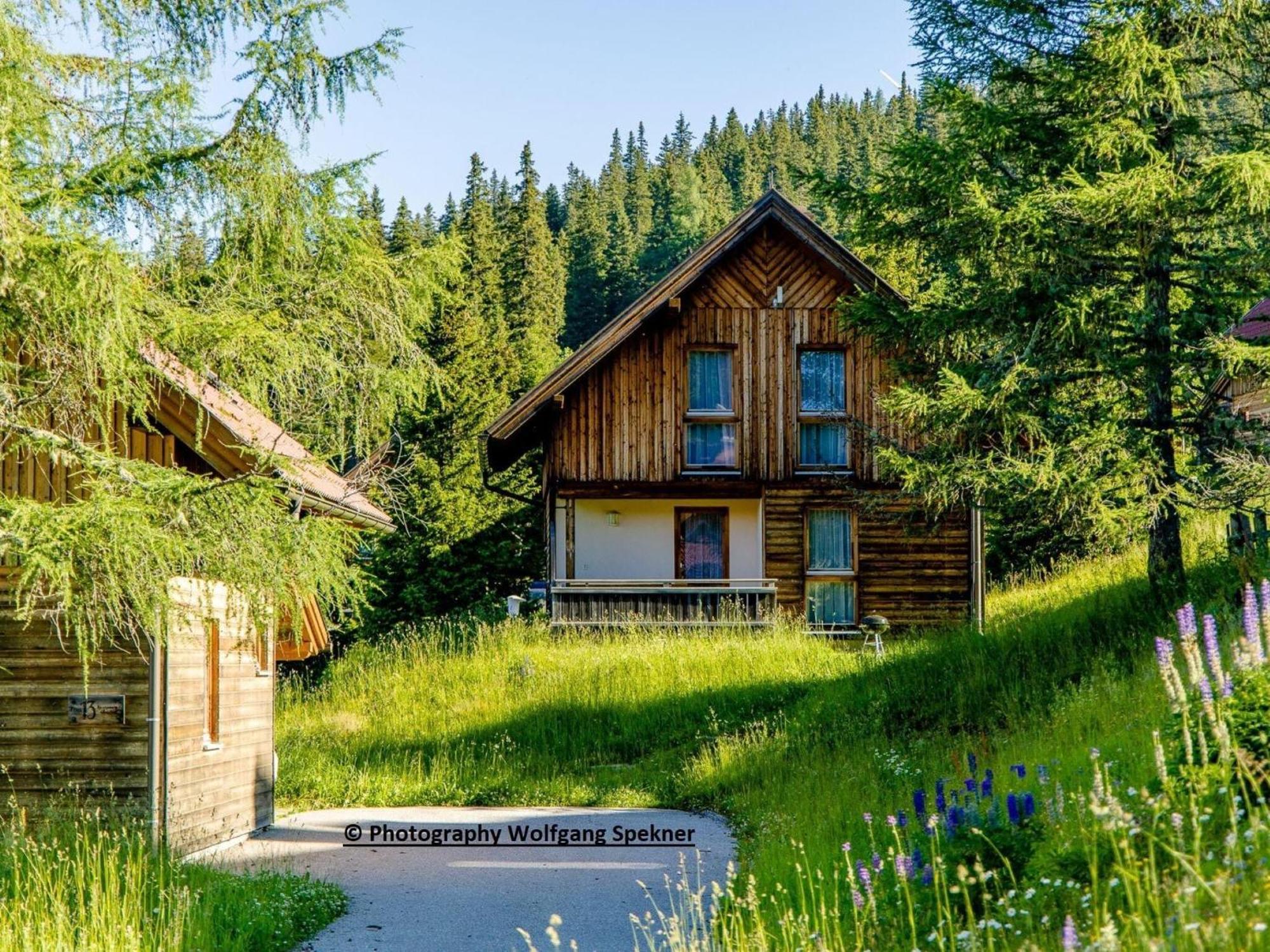 Beautiful Holiday Home In Weinebene With Sauna Posch Alpe Zewnętrze zdjęcie
